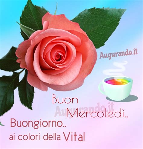 immagine buongiorno buon mercoledì|buon mercoledi images.